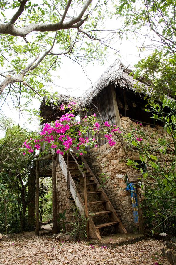 Blue Monkey Beach Cottages Shimoni Exterior photo