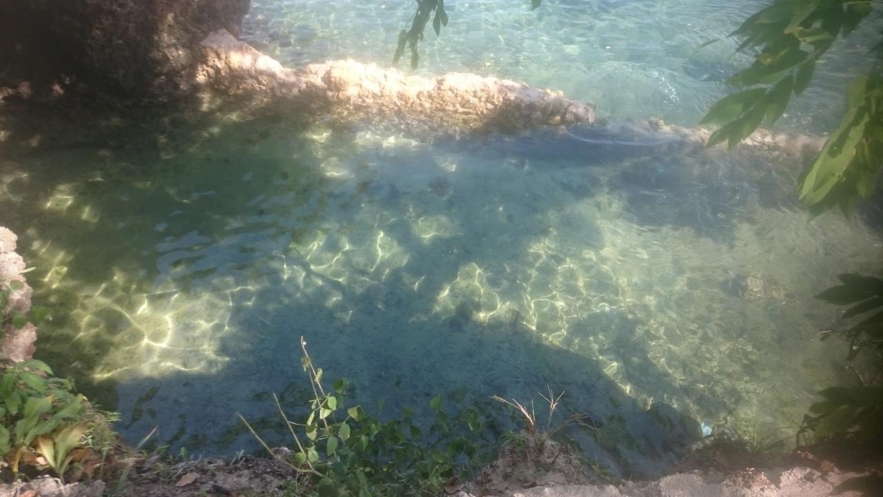 Blue Monkey Beach Cottages Shimoni Exterior photo